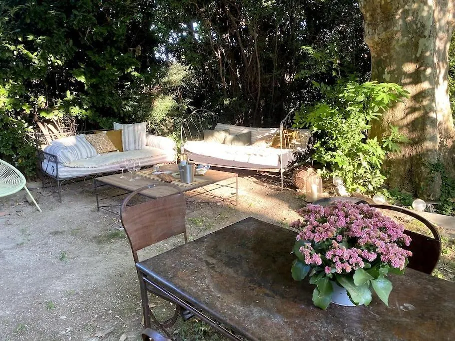 Madeleine Sous Son Platane Villa Avignon 0*,  France